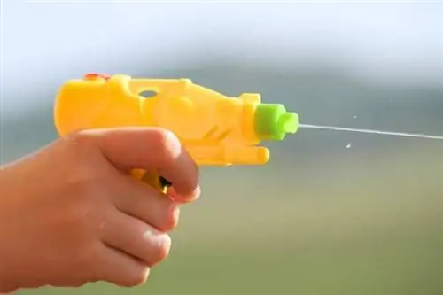 Pistola ad acqua