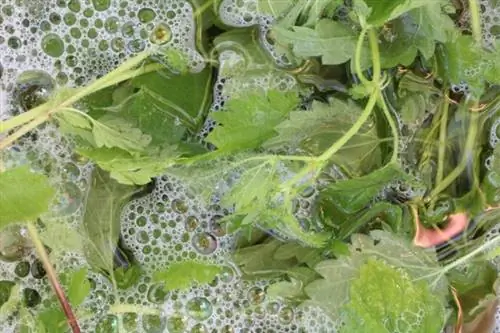 Organikong pataba - nettle broth/nettle dure