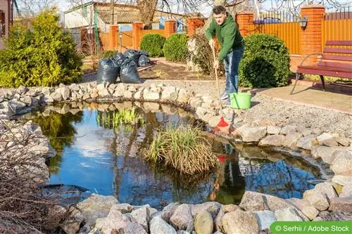 Membersihkan kolam, membersihkan kolam taman - tips perawatan kolam