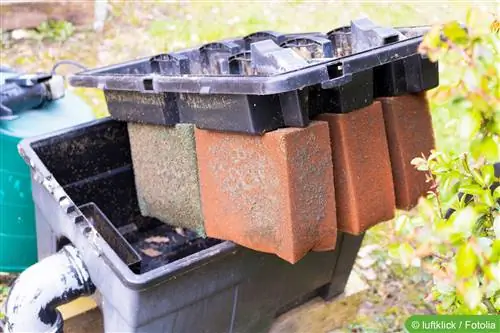 Build your own pond filter - tips for building your own