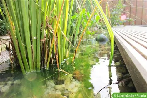 Gumawa ng sarili mong patio pond - mga tagubilin sa paggawa nito