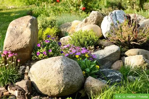 Planten voor de rotstuin - ideeën voor planten