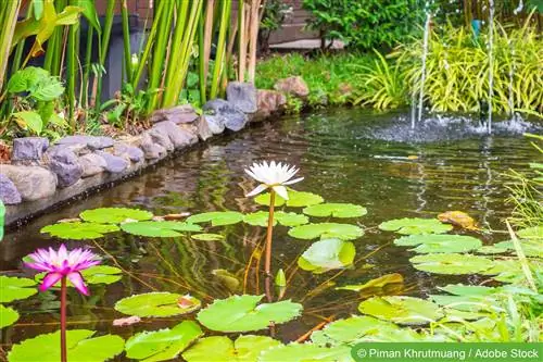 Een tuinvijver, vijver plannen - ideeën voor planning