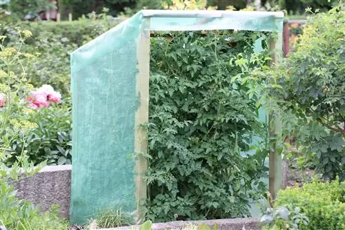 Izgradite vlastitu kućicu od rajčice - upute za gradnju od drvene folije &