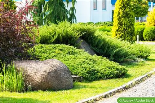 Batu di taman - petua untuk reka bentuk taman