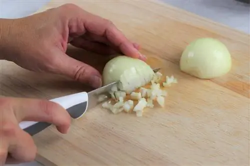 Cutting onions without tears - no more tears