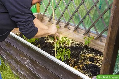 DIY na tagubilin: Bumuo ng sarili mong planter box gamit ang trellis