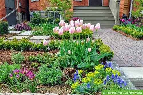 Crea un giardino anteriore di facile manutenzione