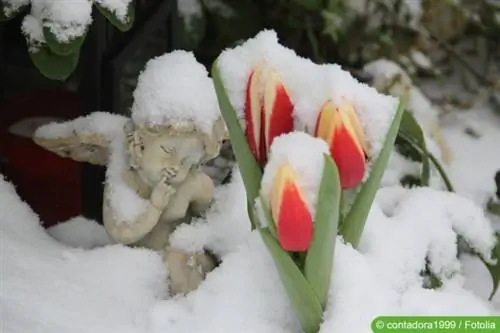 Grave design in winter