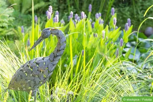 Idees per al disseny del banc a l'estany del jardí, l'estany