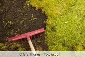 Moss Removal Instructions: Lawn, Paving Stones & Co