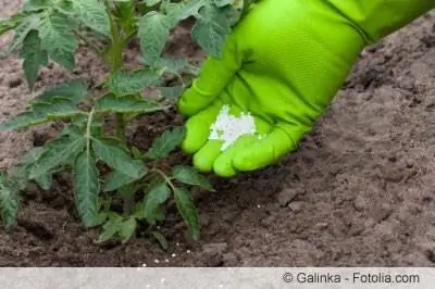 El fertilizante de cal también se puede suministrar a las plantas en otras formas.