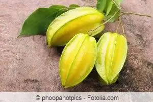 Star fruit, carambola - cultivation and care