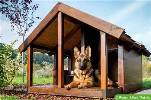 Build your own insulated dog house - instructions in 7 steps