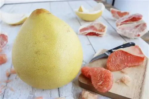 Pomelo - nutritivne vrednosti, kalorije, vitamini