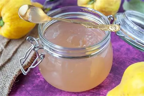 ቀላል አሰራር ለ quince jelly