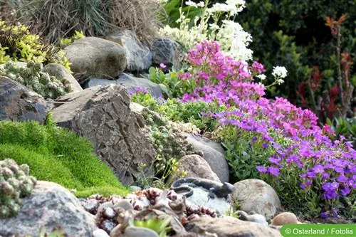 Projeto de jardim de pedras em uma encosta - jardim de pedras em uma encosta