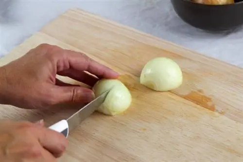 Potong bawang bombay menjadi potongan besar