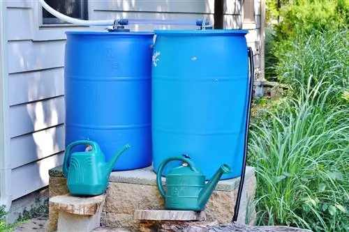 Catching and collecting rainwater: 7 ways