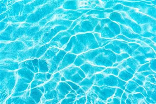 Pool with water