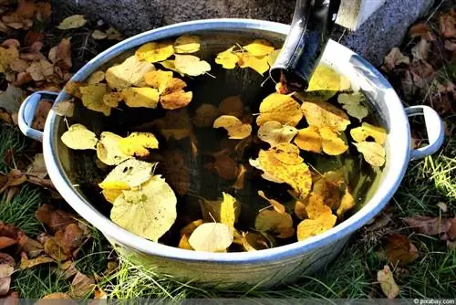 Infiltración de agua de lluvia