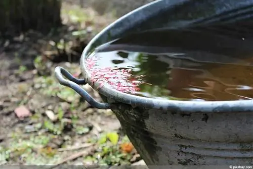 Infiltrazioni di acqua piovana