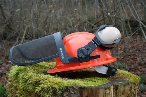 Proteksyon sa trabaho - helmet - visor - proteksyon sa pandinig