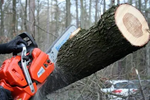 Zrób wygląd piły łańcuchowej