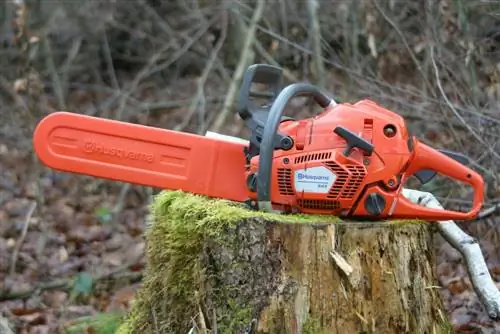 Tau txais daim ntawv tso cai chainsaw - tus nqi & Duration ntawm daim ntawv tso cai chainsaw