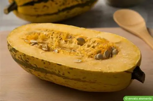 Spaghetti squash